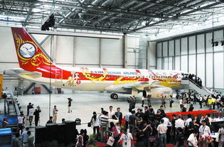 首架空客天津总装厂飞机交付中国客户 航空商务服务的新里程碑